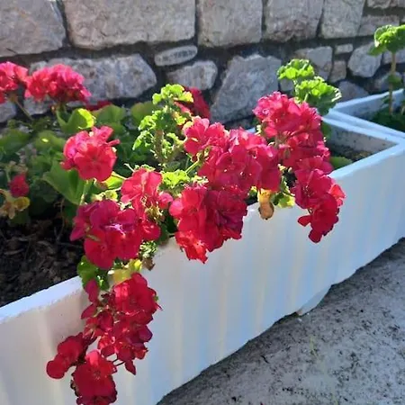 εστια
